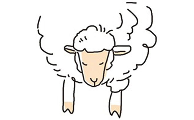 ぺこ・ジェラ～北海道赤平産羊乳アイスクリーム～100ml×6個