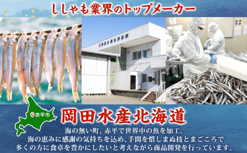 北海道産こまい干し 約1kg(500g×2) 化粧箱入 氷下魚 干し魚 おかず おつまみ 揚げ物