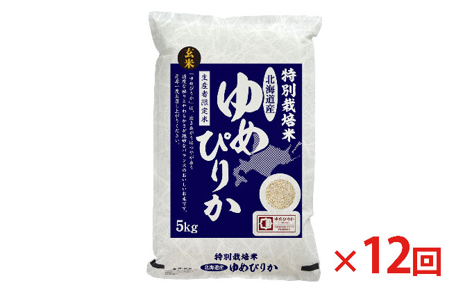 玄米 北海道赤平産 ゆめぴりか 5kg 特別栽培米 【12回お届け