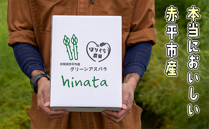 アスパラ 北海道 朝採り 春グリーンアスパラ 約1kg［ほりぐち農園］ ※2026年4月中旬出荷開始先行予約 野菜 アスパラガス グリーンアスパラ 旬 とれたて お取り寄せ 産地直送 生産者直送