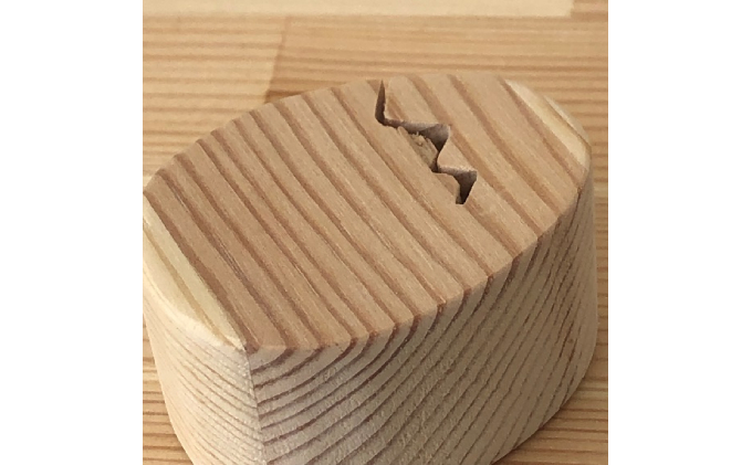 Animalつみき 恐竜つみき アウトレット品4種セット 工芸品 インテリア 玩具 おもちゃ