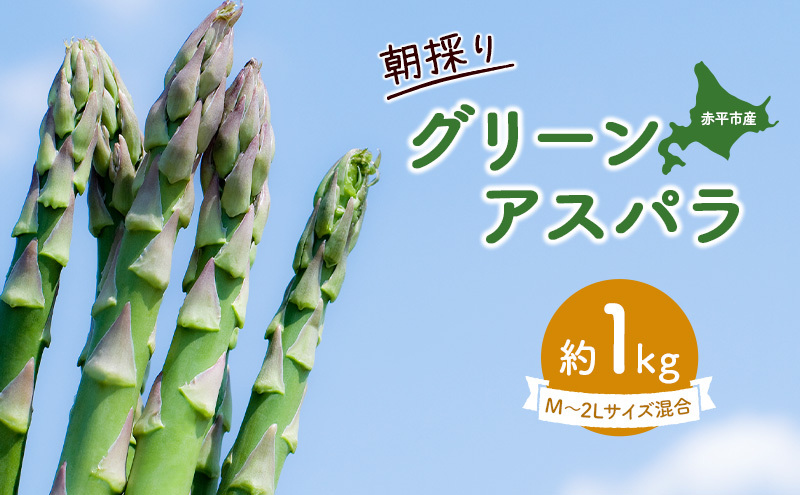 アスパラ 北海道 朝採り 春グリーンアスパラ 約1kg［ほりぐち農園］ ※2026年4月中旬出荷開始先行予約 野菜 アスパラガス グリーンアスパラ 旬 とれたて お取り寄せ 産地直送 生産者直送