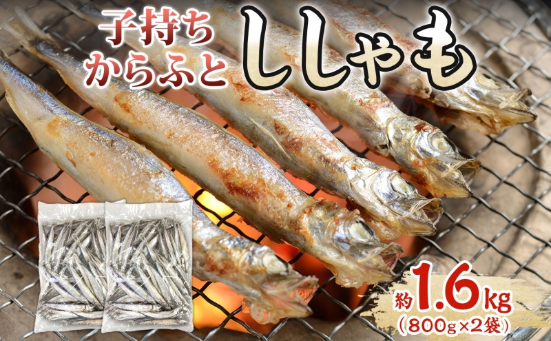 子持ちからふとししゃも 約1.6kg(800g×2) 樺太 魚シシャモ メス おつまみ