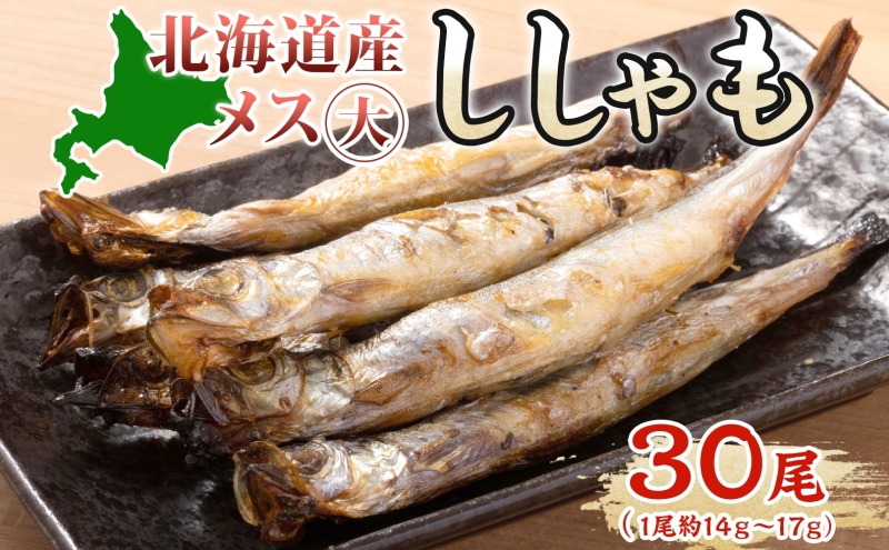 北海道産ししゃもメス大30尾 北海道 稀少 魚シシャモ メス おつまみ