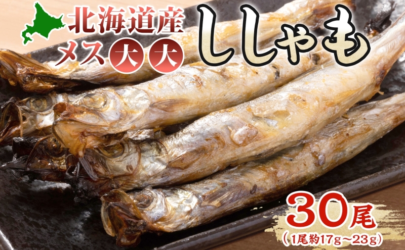 北海道産ししゃもメス大大30尾 北海道 稀少 魚シシャモ メス おつまみ