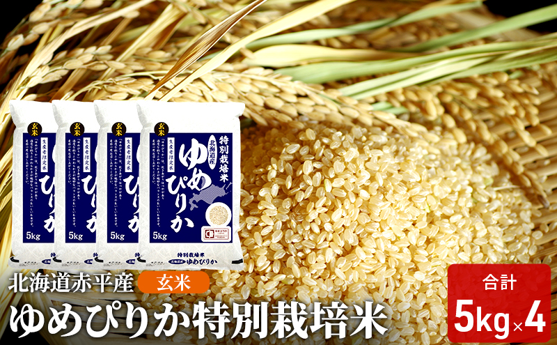 玄米 北海道赤平産 ゆめぴりか 20kg (5kg×4袋) 特別栽培米 米 北海道 お米 ふるさと納税