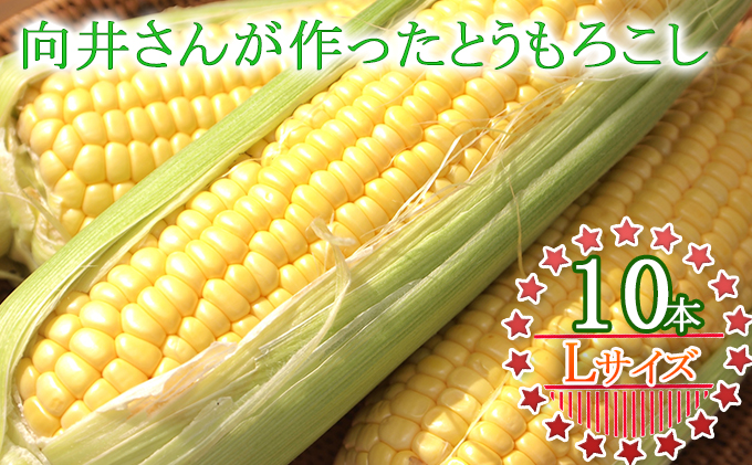 向井さんが作ったとうもろこし［Lサイズ10本］※8月下旬より順次出荷