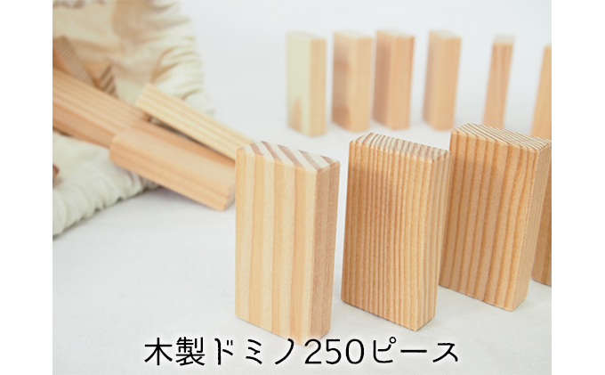ドミノ 木製 おもちゃ こだわりの木材でつくる！ 木製ドミノ 250ピース 工芸品 室内 遊び 玩具 ファミリートイ ゲーム