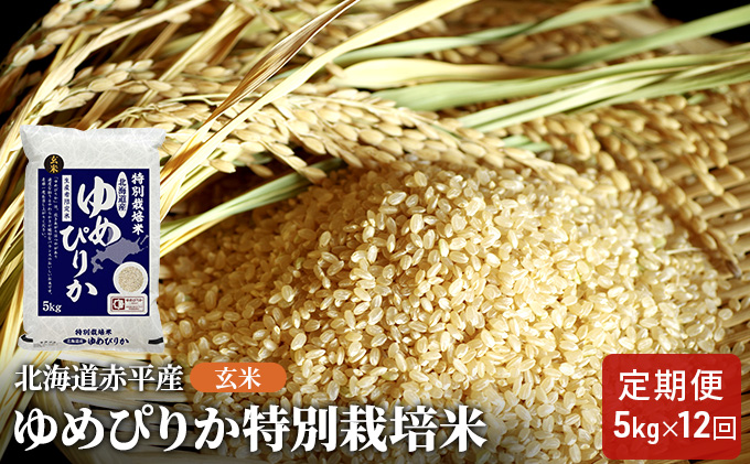 玄米 北海道赤平産 ゆめぴりか 5kg 特別栽培米 【12回お届け