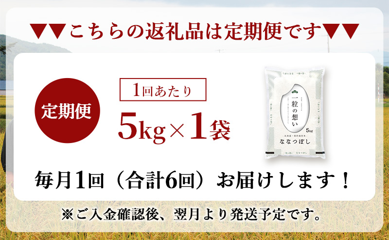 定期便6回 連続 お届け 令和7年産 北海道 赤平産 ななつぼし 5kg 白米 精米 米 北海道 ごはん ご飯 ライス おにぎり 定期便 定期 お楽しみ 6回