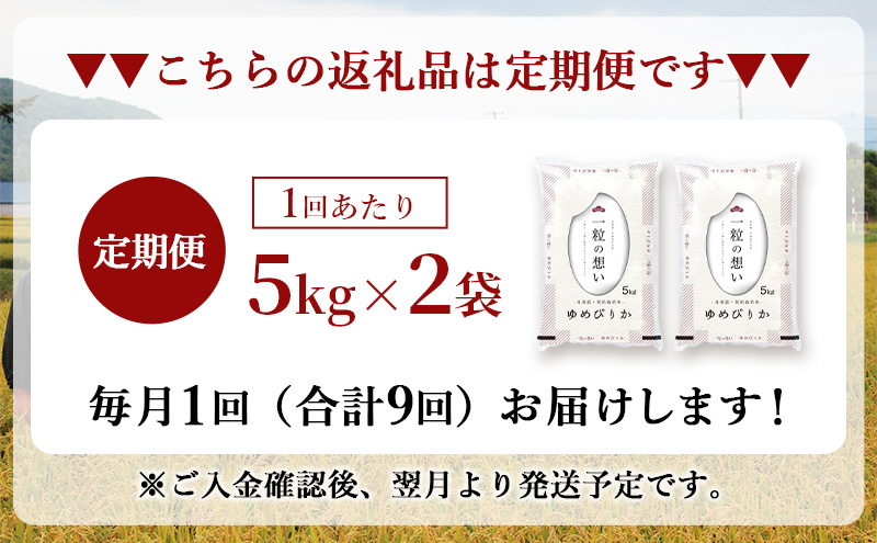令和7年産 北海道 赤平産 ゆめぴりか 10kg 【限定寄附額】9ヵ月連続お届け 白米 精米 米 北海道 ごはん ご飯 ライス おにぎり 定期便 定期 お楽しみ 9回