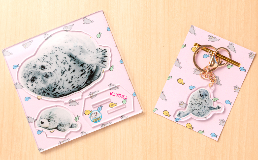 10-503 日和のアクリルスタンド・キーホルダー【アザラシシーパラダイスグッズ】 日和ちゃんセット