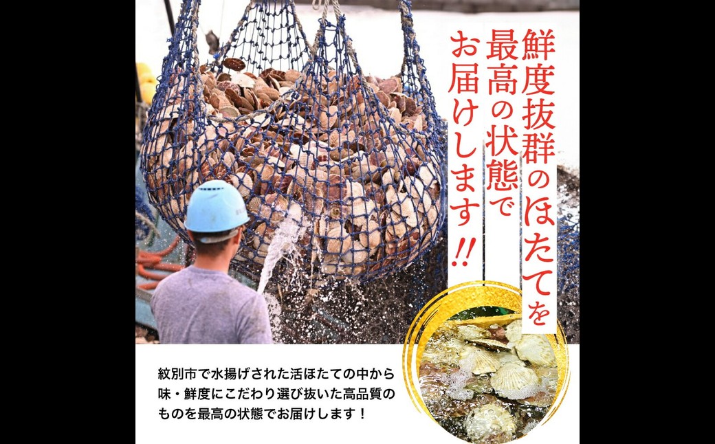 11-145 【年内配送12月15日入金まで】北海道紋別産 活ホタテ2kg(Lサイズ)