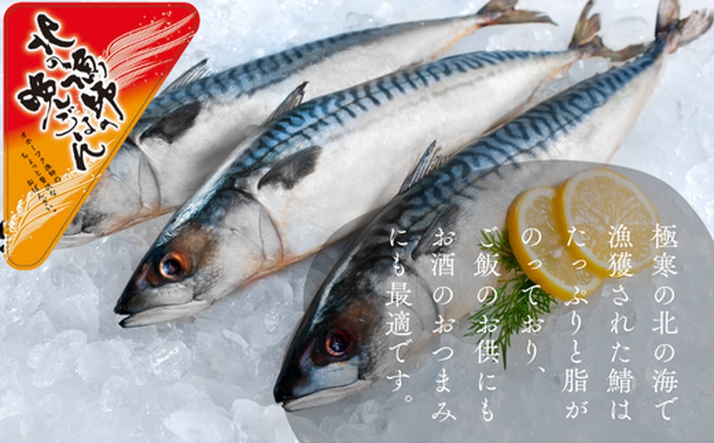 12-236 【お手軽調理】炙り塩さば【紋別漁師食堂】