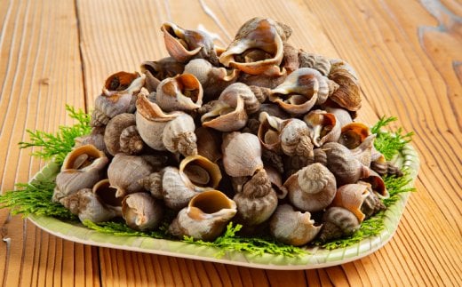 10-536 エゾばい貝(磯ツブ)『醤油煮』900g（300g×3）