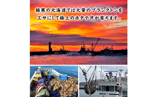 28-49 【年内配送12月15日入金まで】【甲羅組】ほたて貝柱 中型サイズ １ｋｇ