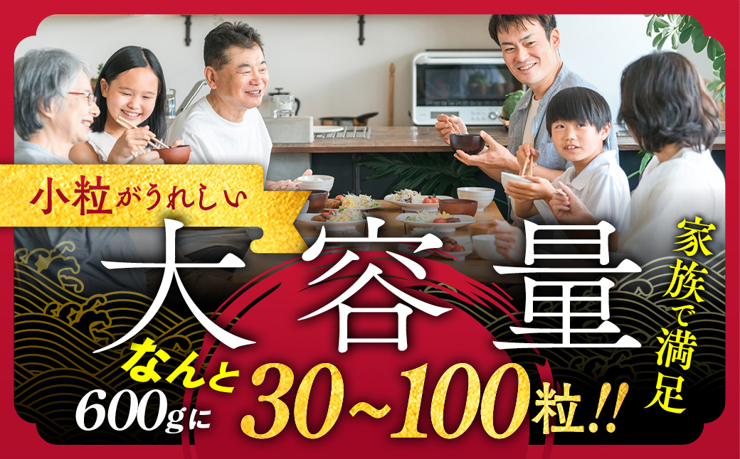 14-256 【訳あり】北海道オホーツク産ホタテ貝柱(生食用)小粒大入 600g ｜ サイズ不揃い ワケアリ 訳あり ほたて ホタテ 帆立 貝柱 玉冷
