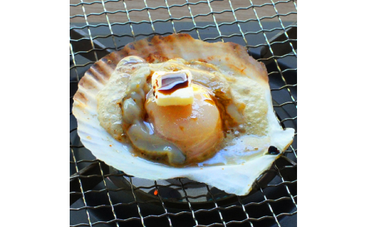 15-293 【年内配送12月15日入金まで】北海道産ホタテハーフシェル【BBQ用片殻付きほたて】