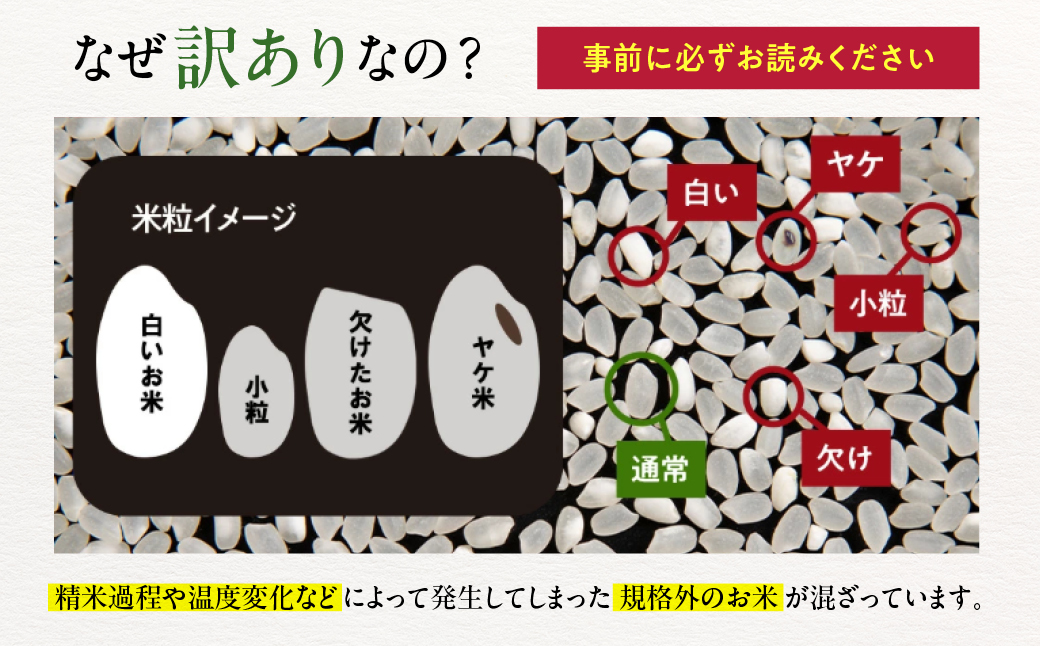 2-1 【年内配送12月15日入金まで】訳あり 北海道ブレンド米 4合(600g) 簡易包装 お試し