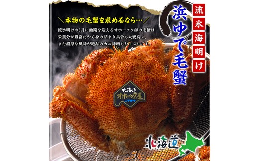 20-269 【甲羅組】北海道産　ボイル毛蟹