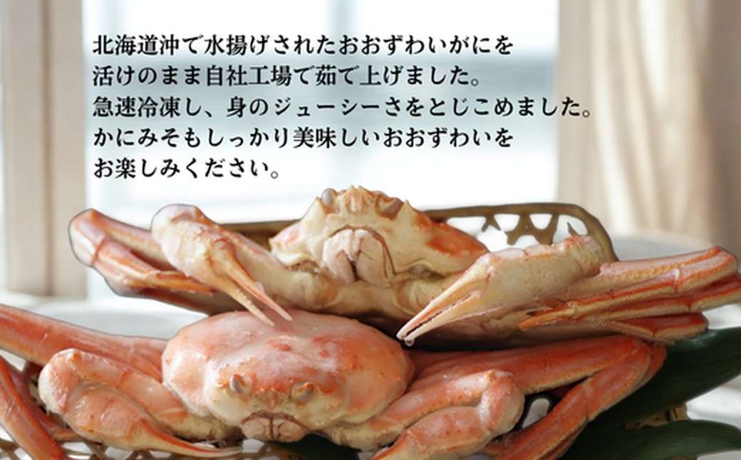 20-290 【北海道産】特大サイズ オオズワイガニ姿　800g以上1尾 ｜ 蟹酢・山わさび付　かに　おおずわいがに