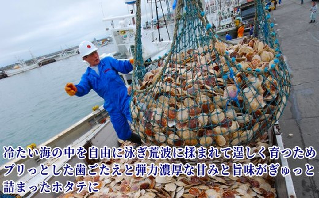 30-125 北海道オホーツク海産ホタテ玉冷ジャンボサイズ(1kg)