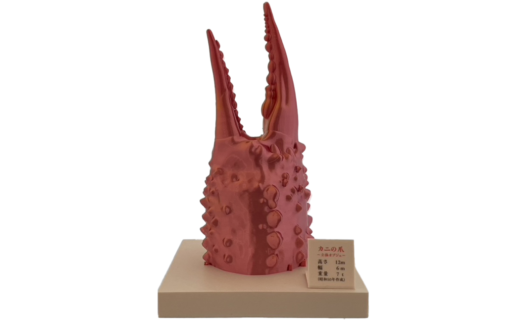 34-23 カニの爪オブジェ（大型）ケース付き