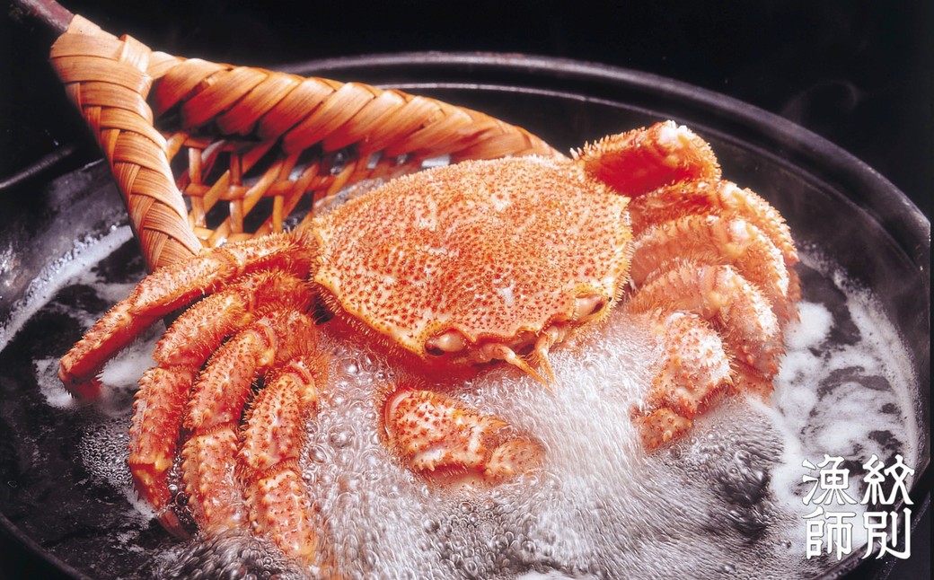 65-9 【北海道産】特大海明け毛がに姿 2尾計約1.3kg【期間限定5月18日まで受付予定】(冷蔵便) 2尾計約1.3kg【特大】