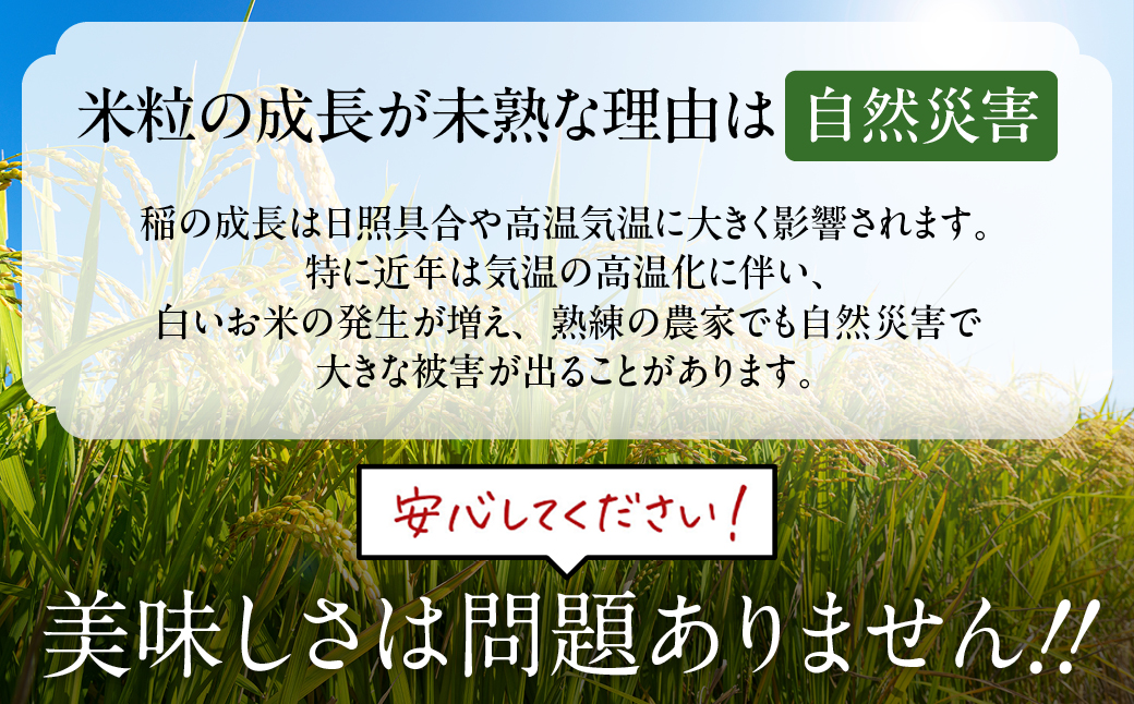 12-296 【年内発送12月15日入金まで】訳あり 北海道ブレンド米5kg