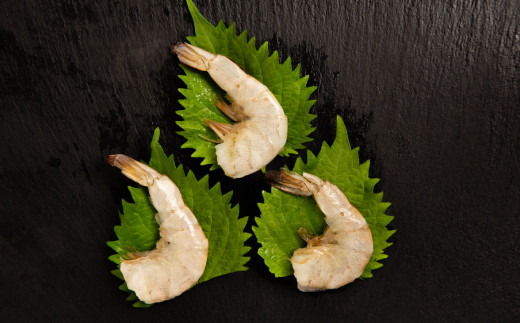 16-101 どどーんとバナメイえび1.8kg