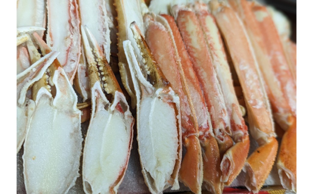 18-174 【ホワイトデー】ボイル本ずわいがにハーフポーション(総重量　約900ｇ前後)