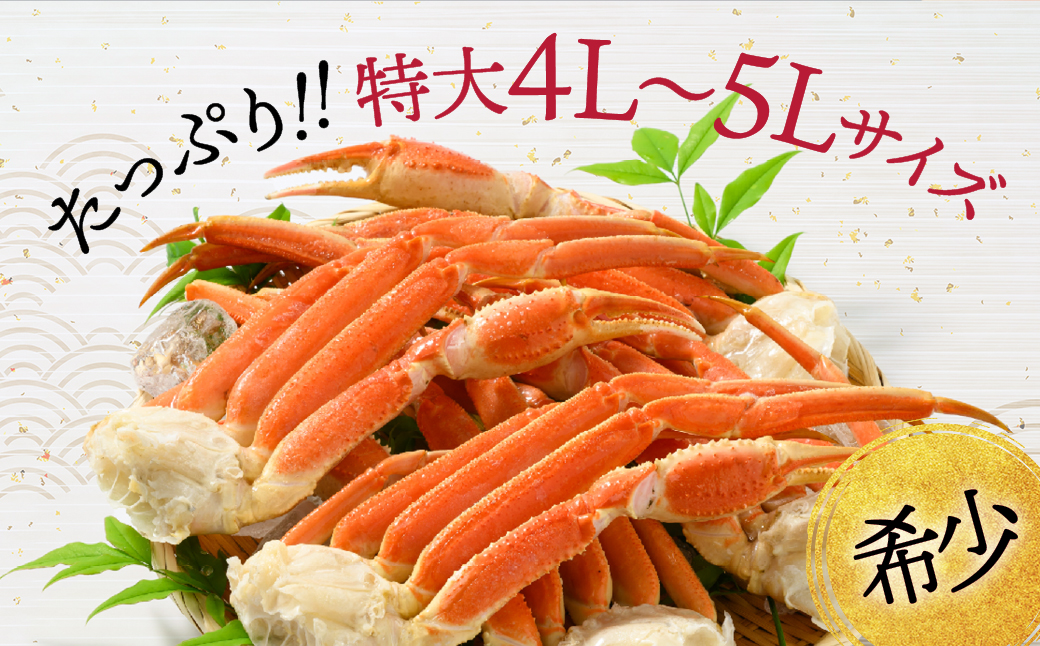 21-66 【年内配送12月15日入金まで】【特大4L～5L】ボイル本ずわいがに肩脚　4～5肩(約1.5kg)
