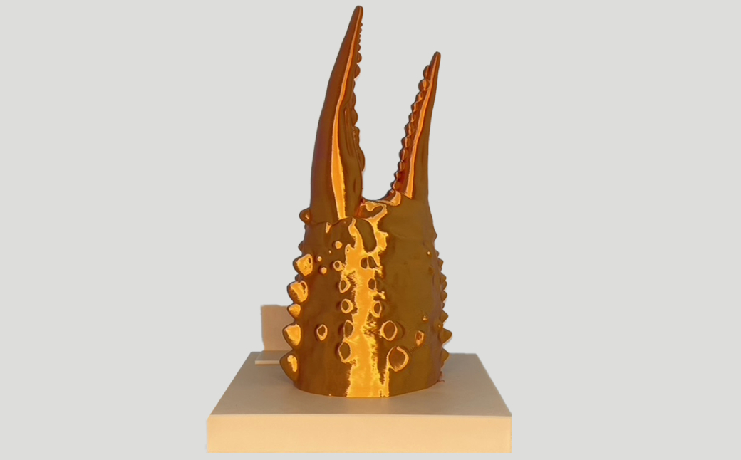 34-23 カニの爪オブジェ（大型）ケース付き