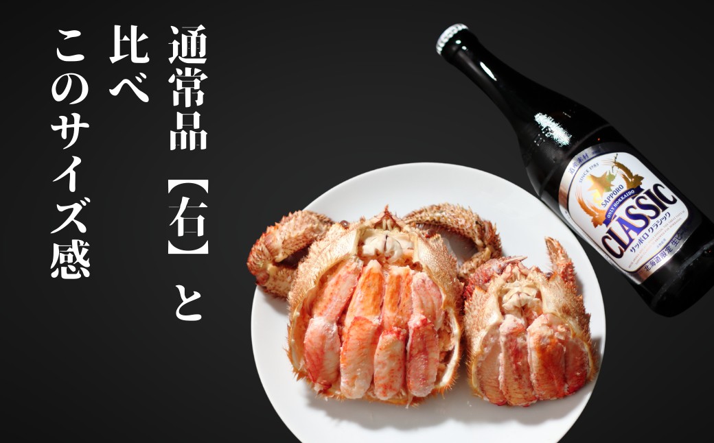 72-18 【北海道産】特大海明け毛がに一杯盛り約650g以上の毛がに2尾使用【期間限定5月18日まで受付予定】(冷蔵便)｜無添加 かに 毛がに かにみそ 高品質 約650g以上の毛がに使用2個[特大]