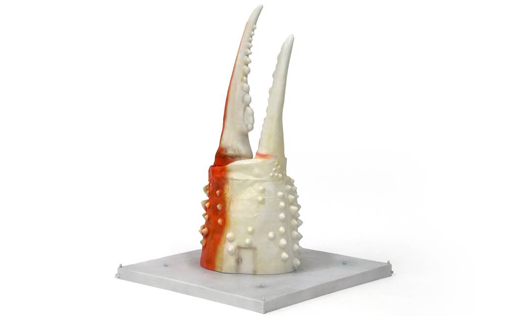 95-6 紋別 カニの爪オブジェ - 修復版, 大 -