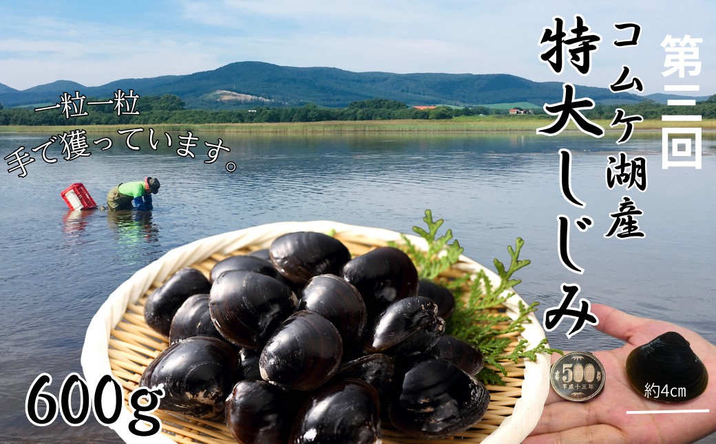100-90 【北海道】北の漁師のごちそう　定期便　12品　全4回【紋別漁師食堂謹製】｜ 帆立　ほたて　蟹　かに　お惣菜　グルメ　おとりよせ　炊き込みご飯　海鮮丼　しじみ　ずわいがに　いくら　お刺身　備蓄　お米によく合う
