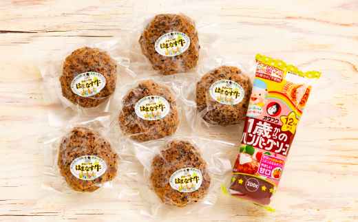 13-91 オホーツクはまなす牛ハンバーグステーキセット