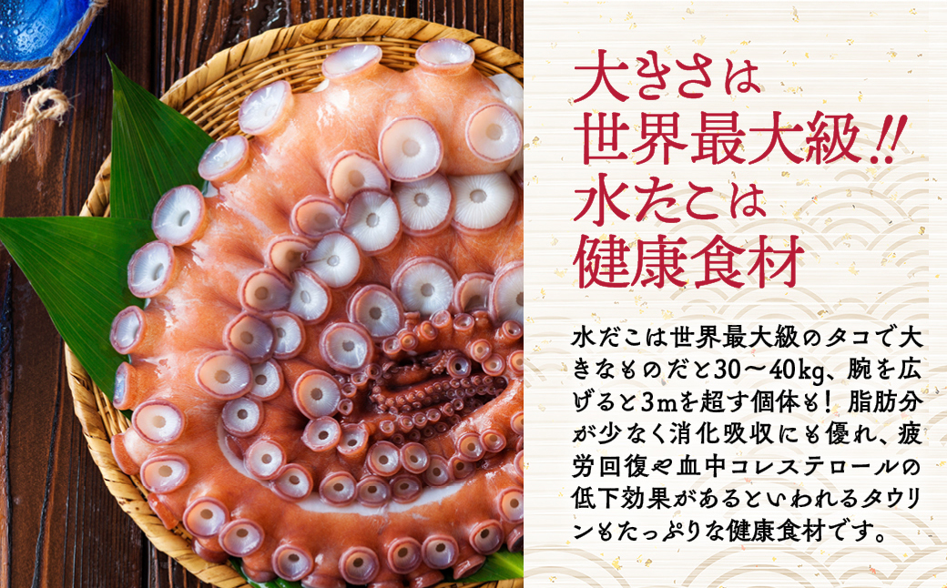 13-391 【ホワイトデー】水だこ太足 小分け真空パック約700g～750g ホワイトデー発送 約700g～750g