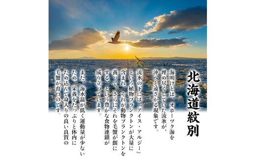20-269 【甲羅組】北海道産　ボイル毛蟹