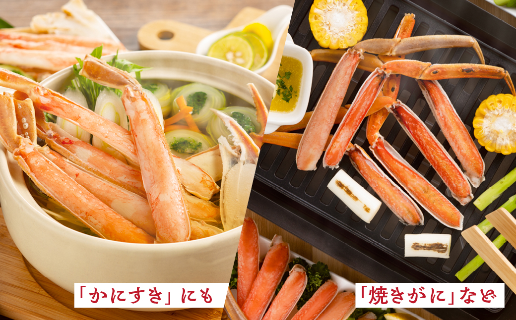 21-66 【年内配送12月15日入金まで】【特大4L～5L】ボイル本ずわいがに肩脚　4～5肩(約1.5kg)