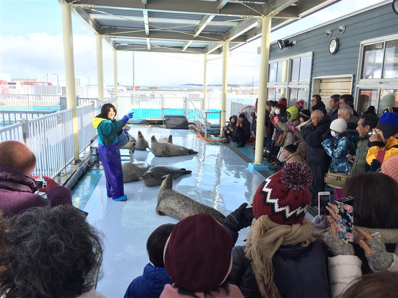 10-428 北海道紋別市　ANAトラベラーズダイナミックパッケージ割引クーポン3,000点分