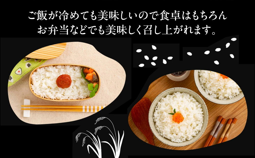 2-4 【年内配送12月15日入金まで】北海道産 ゆめぴりか 2合(300g) 簡易包装 お試し