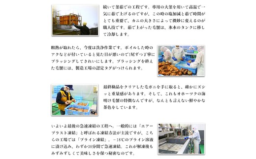 20-269 【甲羅組】北海道産　ボイル毛蟹