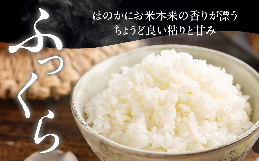 12-296 【年内発送12月15日入金まで】訳あり 北海道ブレンド米5kg