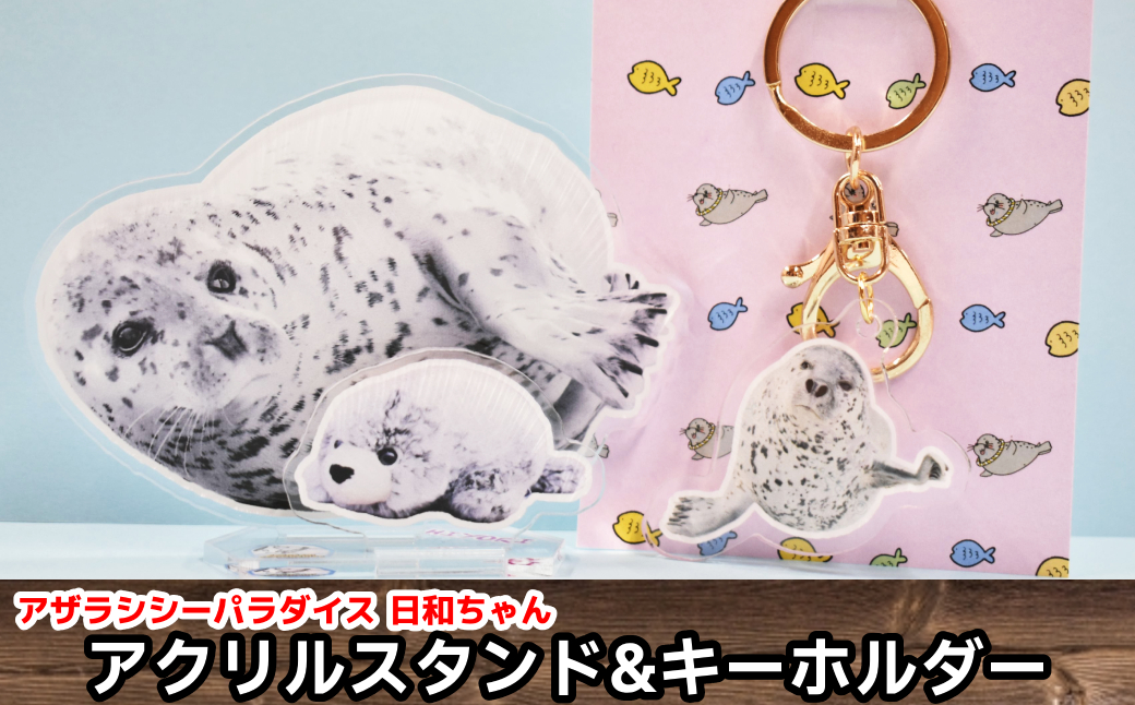 10-503 日和のアクリルスタンド・キーホルダー【アザラシシーパラダイスグッズ】 日和ちゃんセット