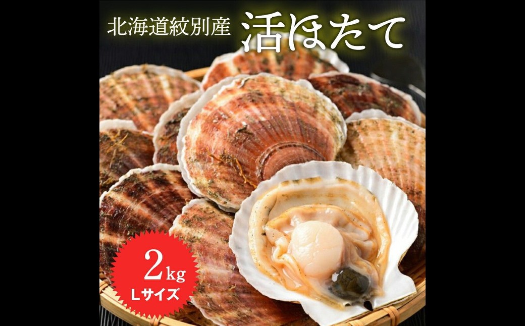11-145 【年内配送12月15日入金まで】北海道紋別産 活ホタテ2kg(Lサイズ)