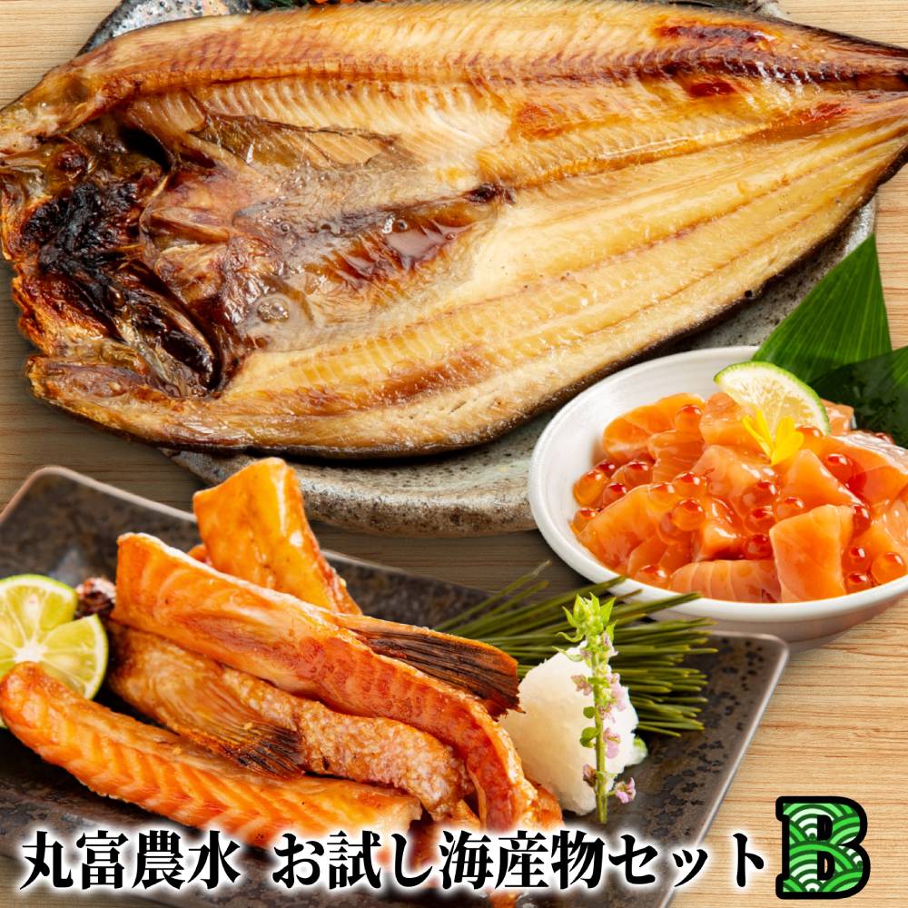 13-362 丸富農水お試し海産物セットＢ