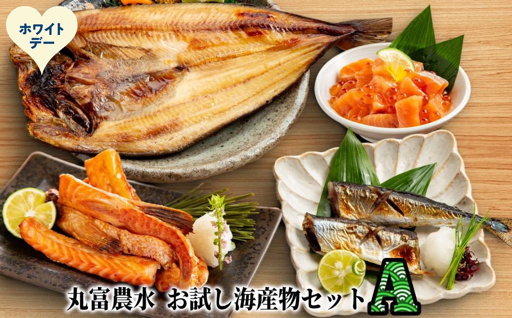 12-329 【ホワイトデー】丸富農水お試し海産物セットＡ ホワイトデー発送 Aセット