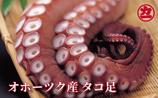 14-206 オホーツク産タコ足