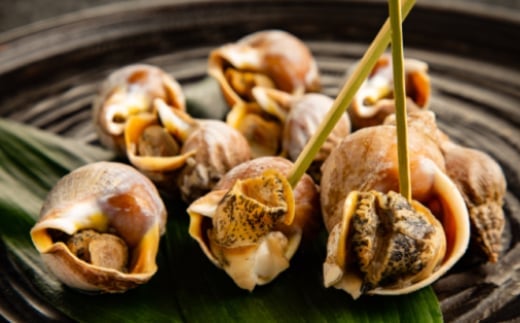 10-536 エゾばい貝(磯ツブ)『醤油煮』900g（300g×3）